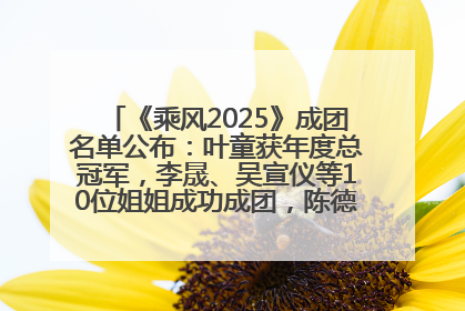 《乘风2025》成团名单公布：叶童获年度总冠军，李晟、吴宣仪等10位姐姐成功成团，陈德容获年度高光人物