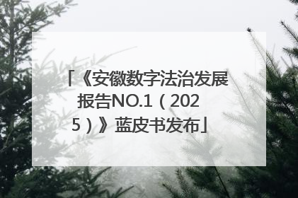 《安徽数字法治发展报告NO.1（2025）》蓝皮书发布