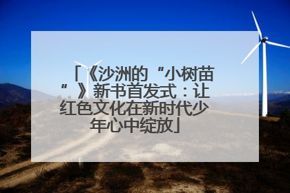 《沙洲的“小树苗”》新书首发式：让红色文化在新时代少年心中绽放