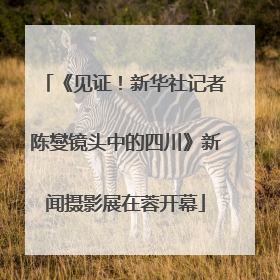 《见证！新华社记者陈燮镜头中的四川》新闻摄影展在蓉开幕