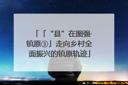 「“县”在图强·镇原③」走向乡村全面振兴的镇原轨迹