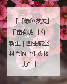 「绿色发展」千亩荷塘 十年新生｜四任航空村官的“生态接力”