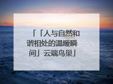 「人与自然和谐相处的温暖瞬间」云端鸟巢