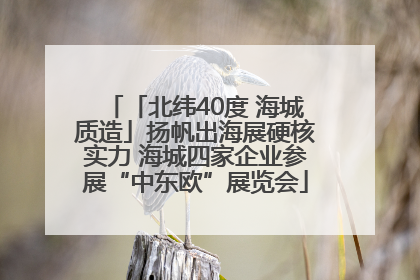 「北纬40度 海城质造」扬帆出海展硬核实力 海城四家企业参展“中东欧”展览会