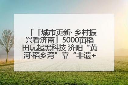 「城市更新· 乡村振兴看济南」5000亩稻田玩起黑科技 济阳“黄河·稻乡湾”靠“非遗+露营”火出圈