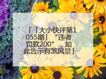 「大小快评第1055期」“违者罚款200”，如此告示有煞风景