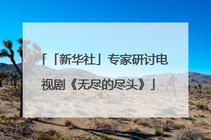 「新华社」专家研讨电视剧《无尽的尽头》