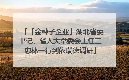 「金种子企业」湖北省委书记、省人大常委会主任王忠林一行到依瑞德调研