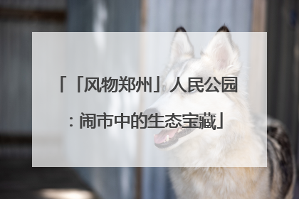 「风物郑州」人民公园：闹市中的生态宝藏