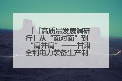 「高质量发展调研行」从“面对面”到“肩并肩”——甘肃全利电力装备生产制造项目一线见闻