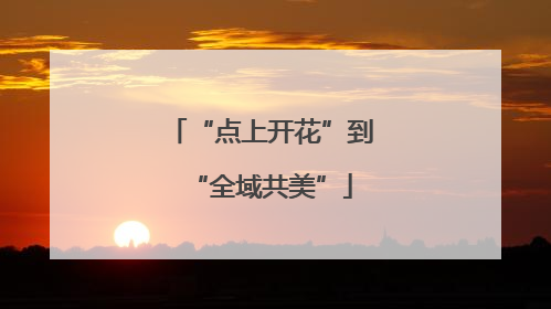 “点上开花”到“全域共美”