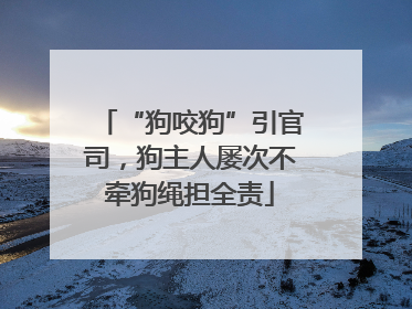 “狗咬狗”引官司，狗主人屡次不牵狗绳担全责