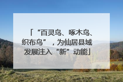 “百灵鸟、啄木鸟、织布鸟”，为仙居县域发展注入“新”动能