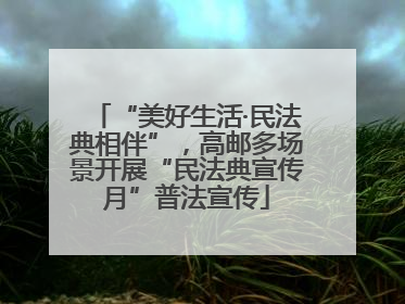 “美好生活·民法典相伴”，高邮多场景开展“民法典宣传月”普法宣传