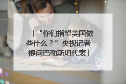 “你们指望美国做些什么？”央视记者提问巴勒斯坦代表
