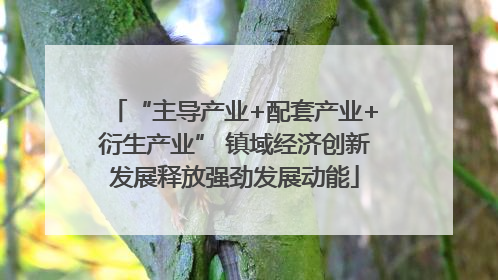 “主导产业+配套产业+衍生产业” 镇域经济创新发展释放强劲发展动能