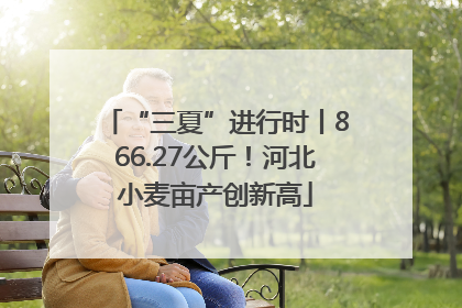 “三夏”进行时丨866.27公斤！河北小麦亩产创新高