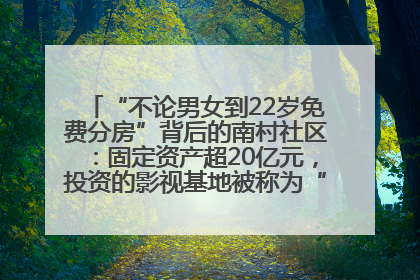 “不论男女到22岁免费分房”背后的南村社区：固定资产超20亿元，投资的影视基地被称为“山村好莱坞”