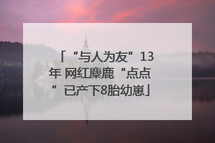 “与人为友”13年 网红麋鹿“点点”已产下8胎幼崽