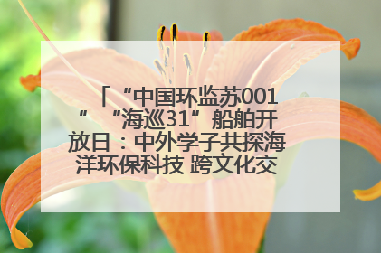 “中国环监苏001”“海巡31”船舶开放日：中外学子共探海洋环保科技 跨文化交流筑牢“蓝色”友谊
