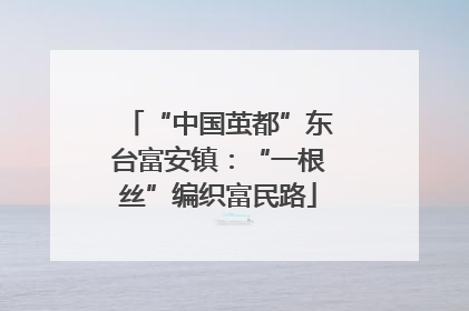 “中国茧都”东台富安镇：“一根丝”编织富民路