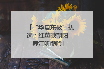 “华夏东极”抚远：红莓映朝阳 界江听熊吟