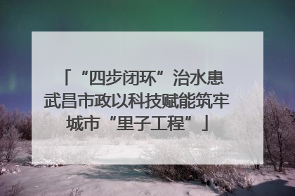 “四步闭环”治水患 武昌市政以科技赋能筑牢城市“里子工程”