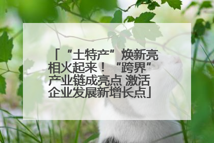 “土特产”焕新亮相火起来！“跨界”产业链成亮点 激活企业发展新增长点