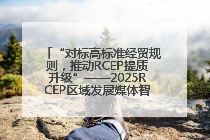 “对标高标准经贸规则，推动RCEP提质升级”——2025RCEP区域发展媒体智库论坛举行专题对话