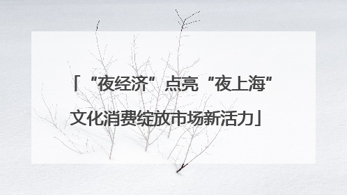 “夜经济”点亮“夜上海” 文化消费绽放市场新活力