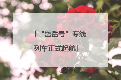 “岱岳号”专线列车正式起航