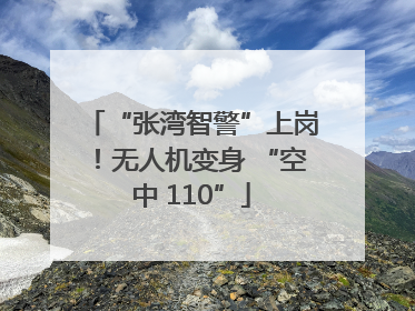 “张湾智警”上岗！无人机变身 “空中 110”