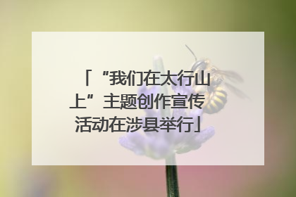 “我们在太行山上”主题创作宣传活动在涉县举行