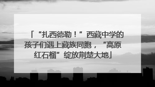 “扎西德勒！”西藏中学的孩子们遇上藏族同胞，“高原红石榴”绽放荆楚大地