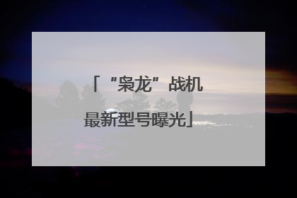 “枭龙”战机最新型号曝光