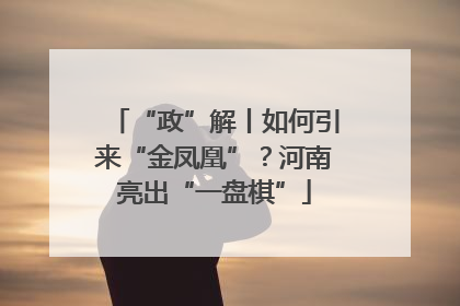 “政”解丨如何引来“金凤凰”？河南亮出“一盘棋”