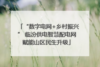 “数字电网+乡村振兴” 临汾供电智慧配电网赋能山区民生升级