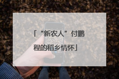 “新农人”付鹏程的稻乡情怀