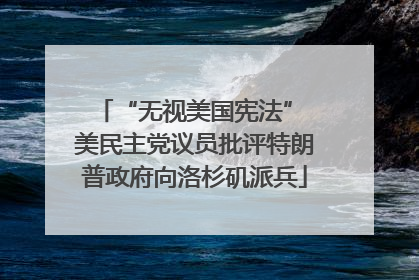 “无视美国宪法” 美民主党议员批评特朗普政府向洛杉矶派兵