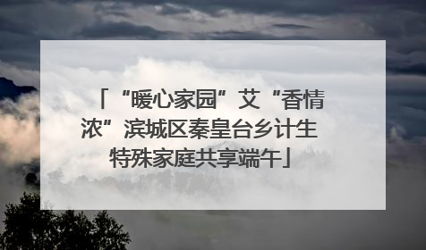 “暖心家园”艾“香情浓”滨城区秦皇台乡计生特殊家庭共享端午