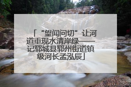 “望闻问切”让河道重现水清岸绿——记郓城县郓州街道镇级河长孟泓辰