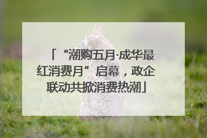 “潮购五月·成华最红消费月”启幕，政企联动共掀消费热潮