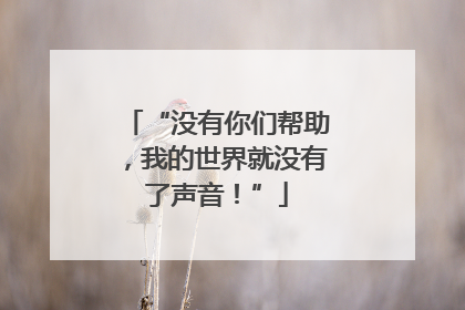 “没有你们帮助，我的世界就没有了声音！”