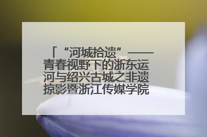 “河城拾遗”——青春视野下的浙东运河与绍兴古城之非遗掠影暨浙江传媒学院小学期来绍