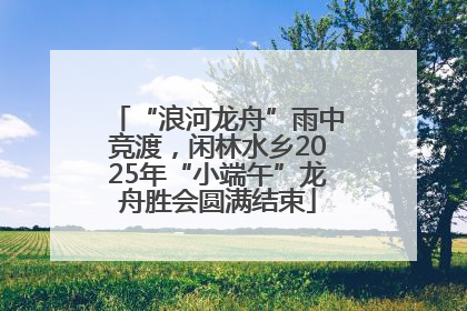 “浪河龙舟”雨中竞渡，闲林水乡2025年“小端午”龙舟胜会圆满结束