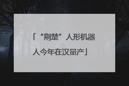 “荆楚”人形机器人今年在汉量产