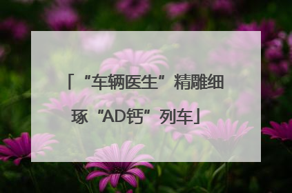“车辆医生”精雕细琢“AD钙”列车