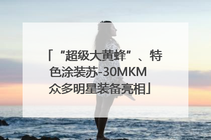 “超级大黄蜂”、特色涂装苏-30MKM 众多明星装备亮相