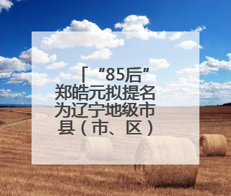 “85后”郑皓元拟提名为辽宁地级市县（市、区）长候选人