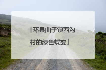 环县曲子镇西沟村的绿色蝶变